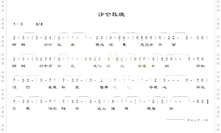 沙仑玫瑰