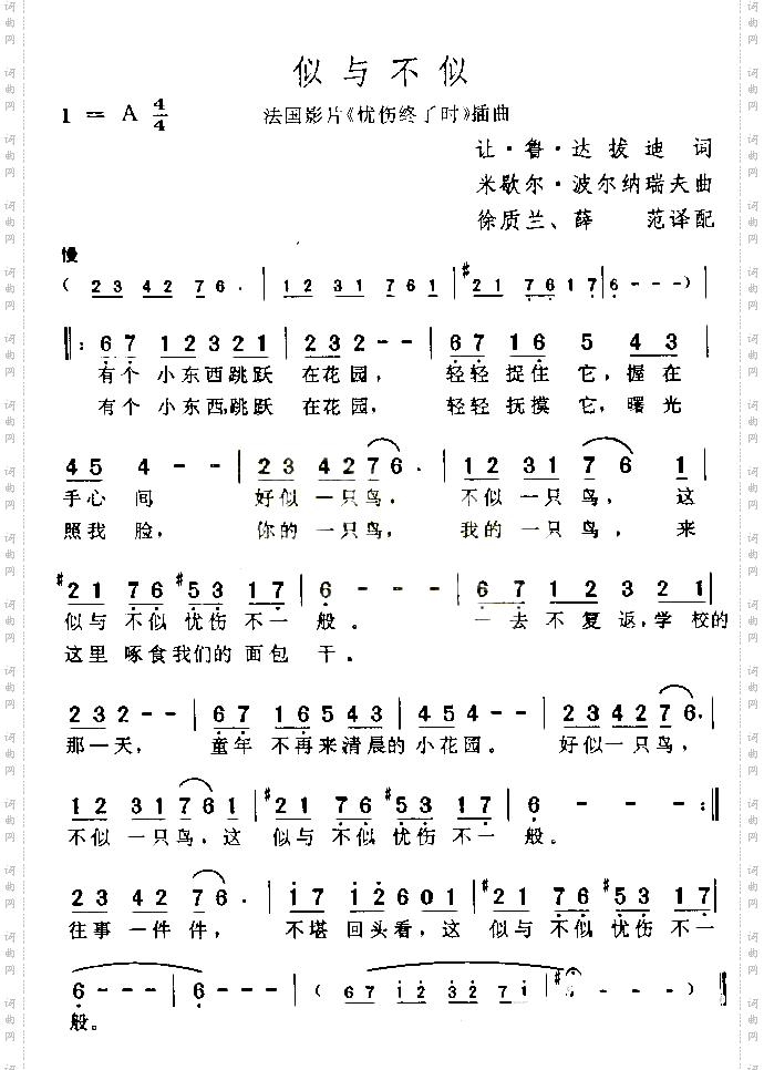 似与不似