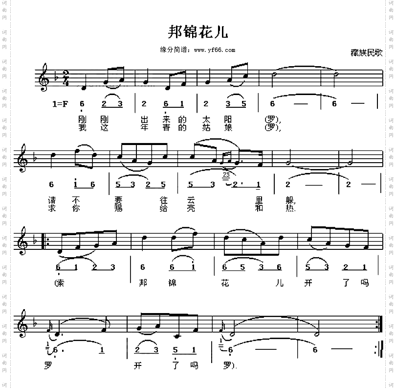 邦锦花儿