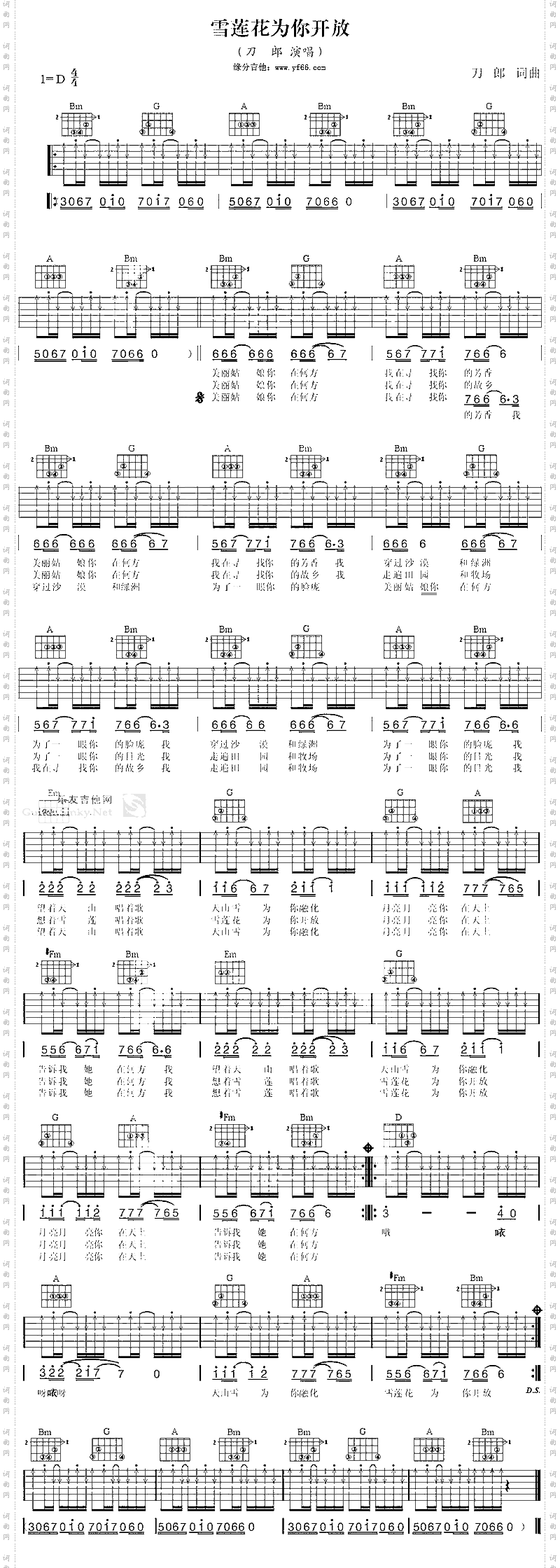 雪莲花为你开放