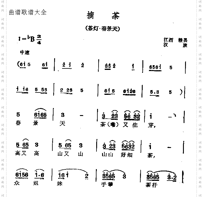 摘茶