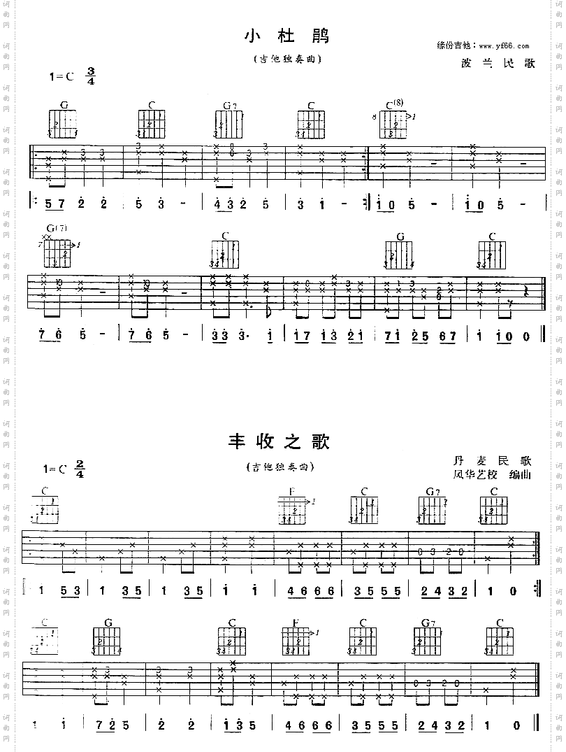 小杜鹃