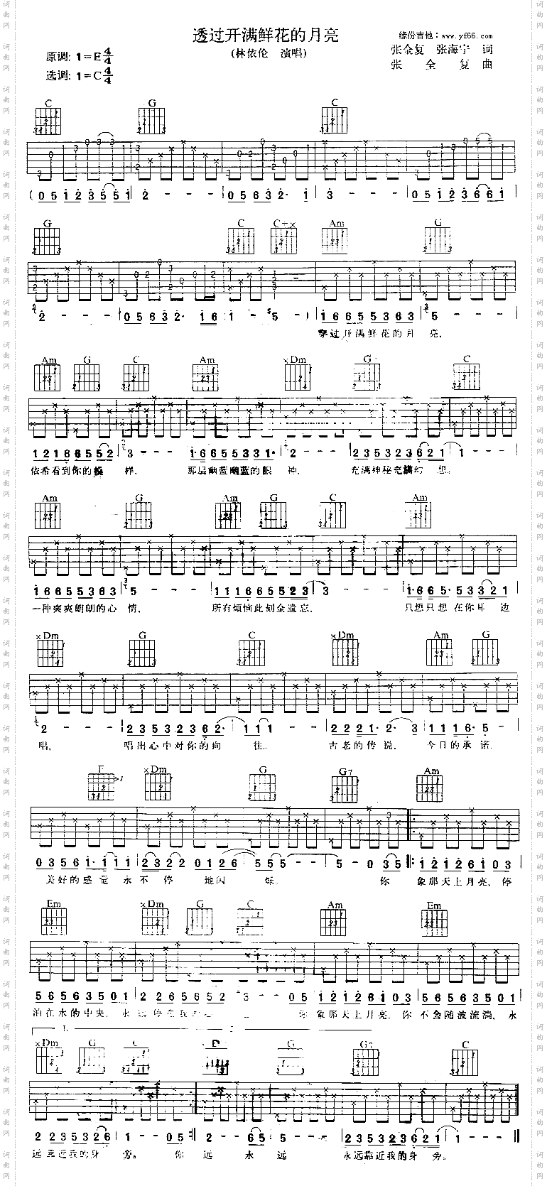 透过开满鲜花的月亮