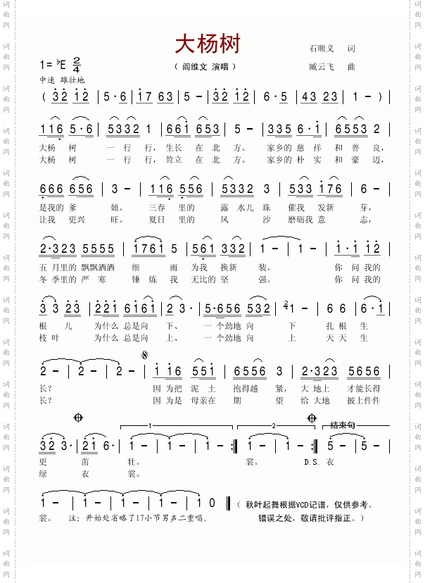 大杨树