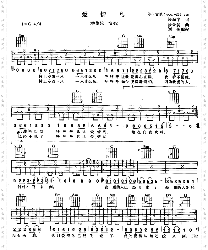 爱情鸟