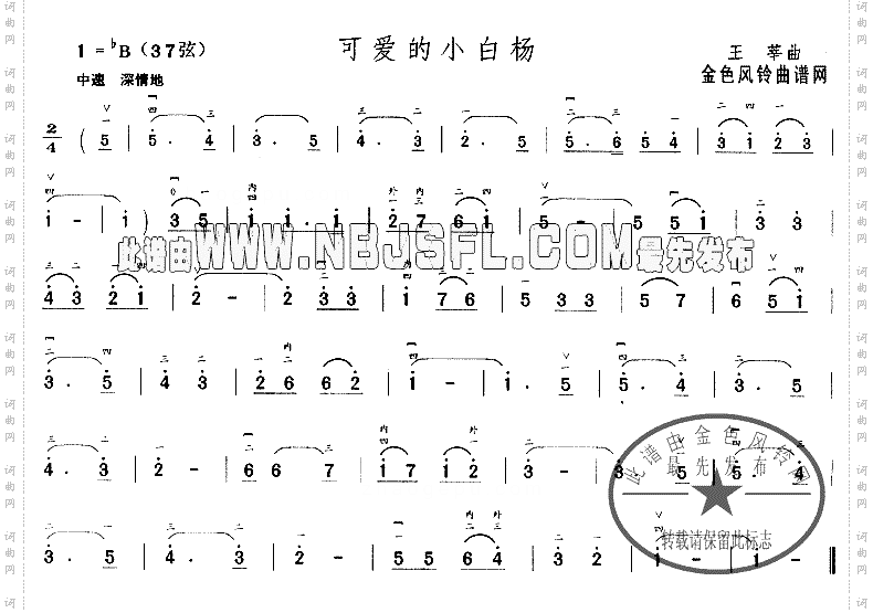 可爱的小白杨