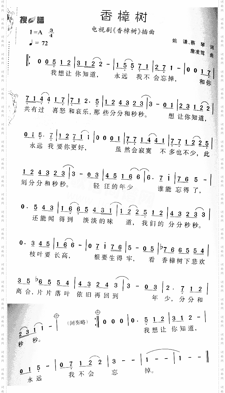 香樟树