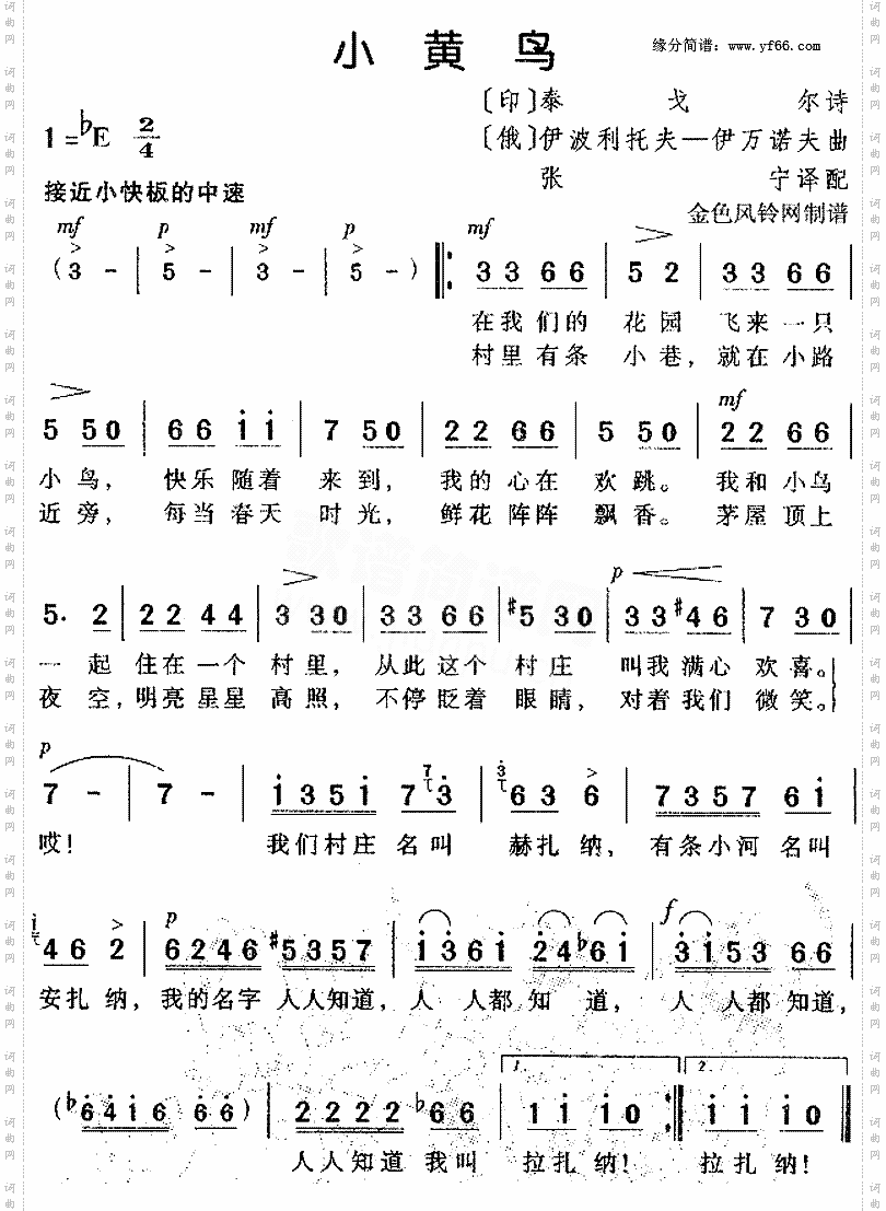 小黄鸟