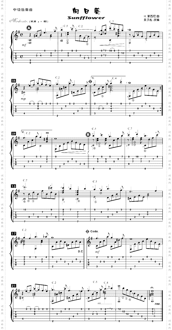 Sunfflower向日葵独奏曲