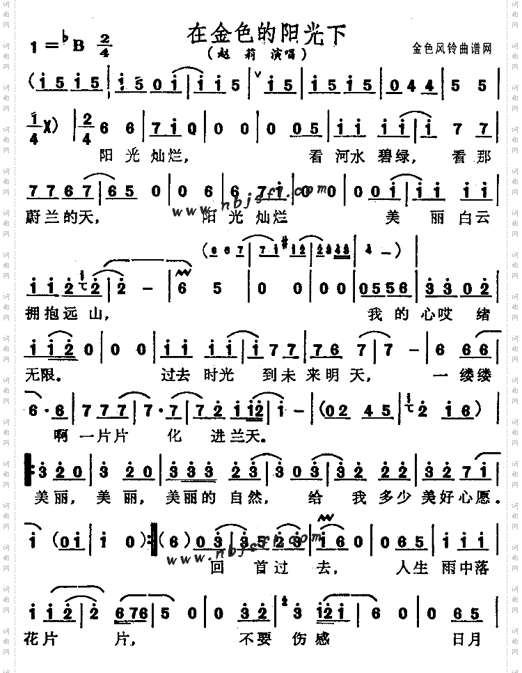 在金色的阳光下