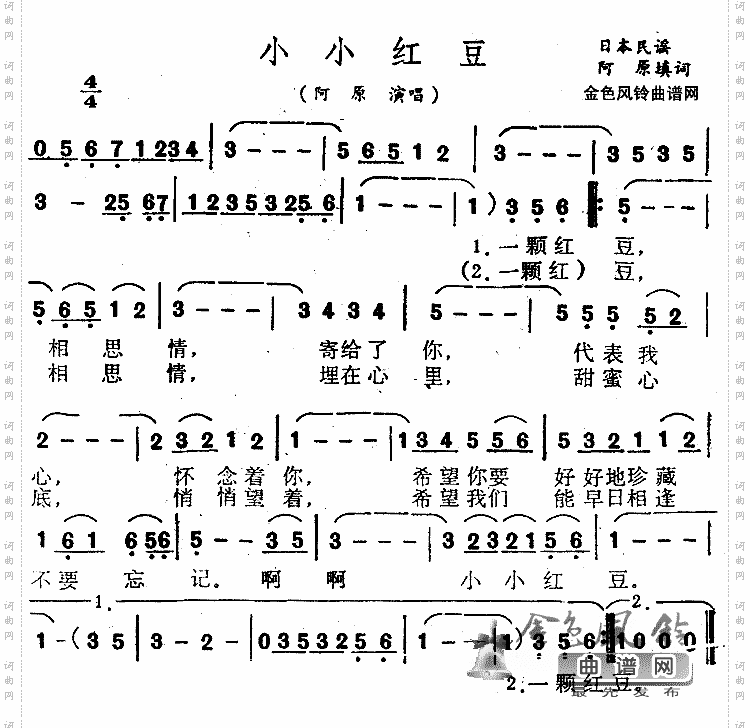 小小红豆