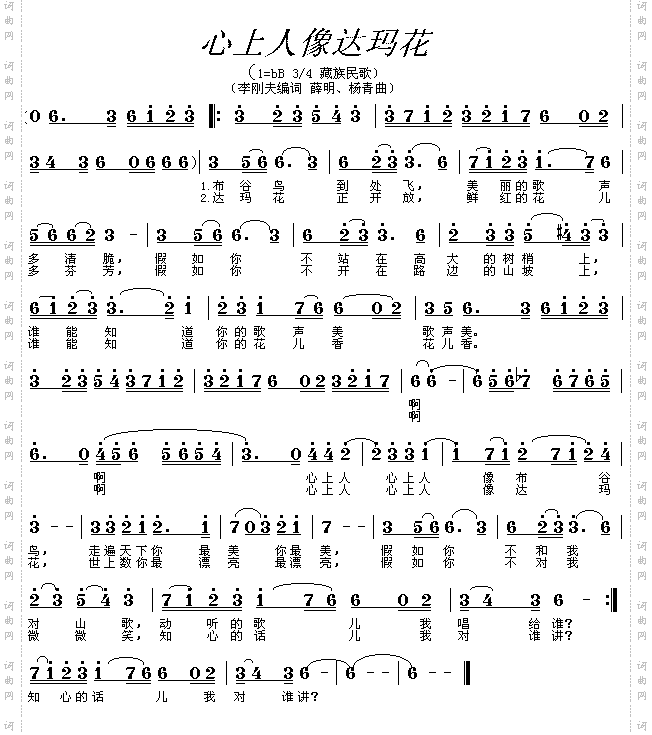 心上人像达玛花藏族民歌