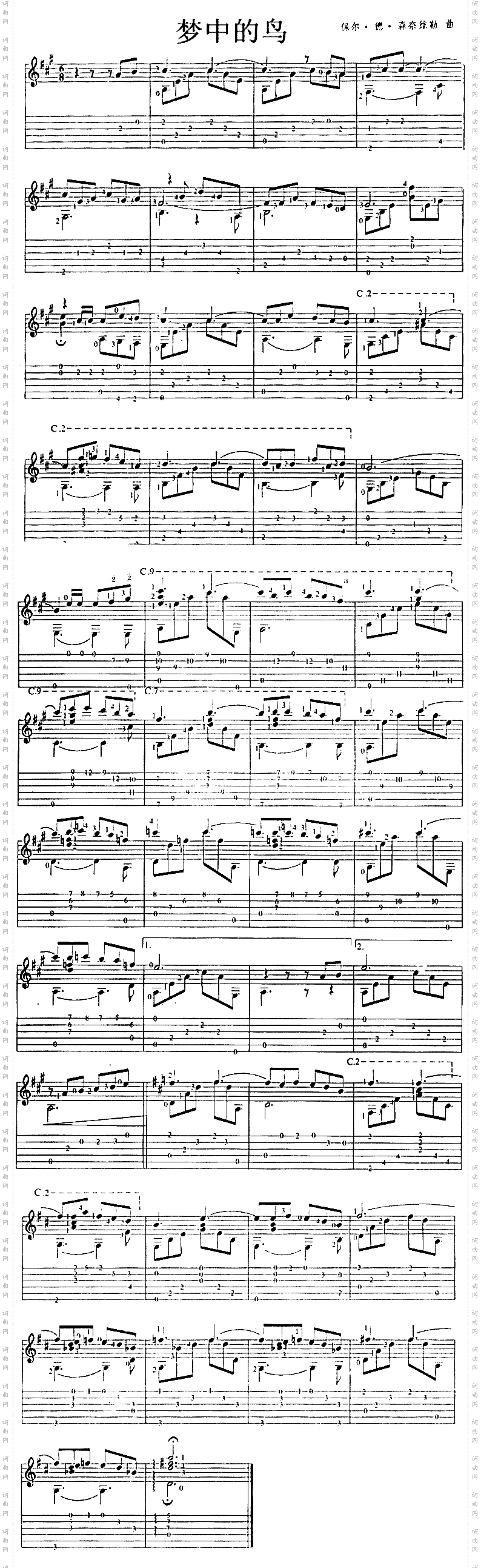 梦中的鸟独奏曲