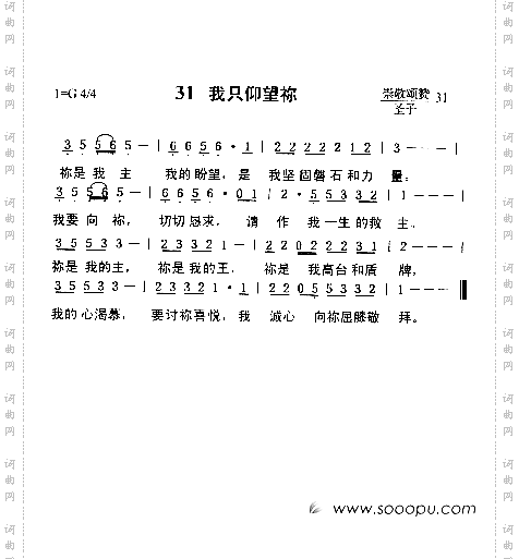 我只仰望你
