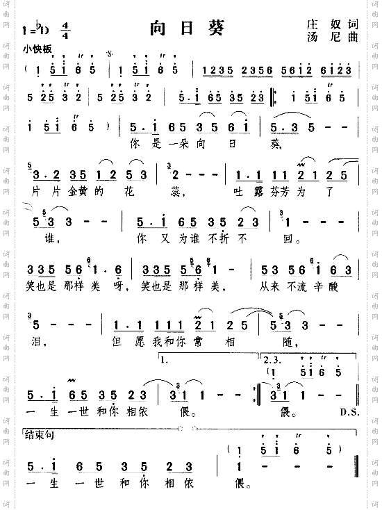 向日葵