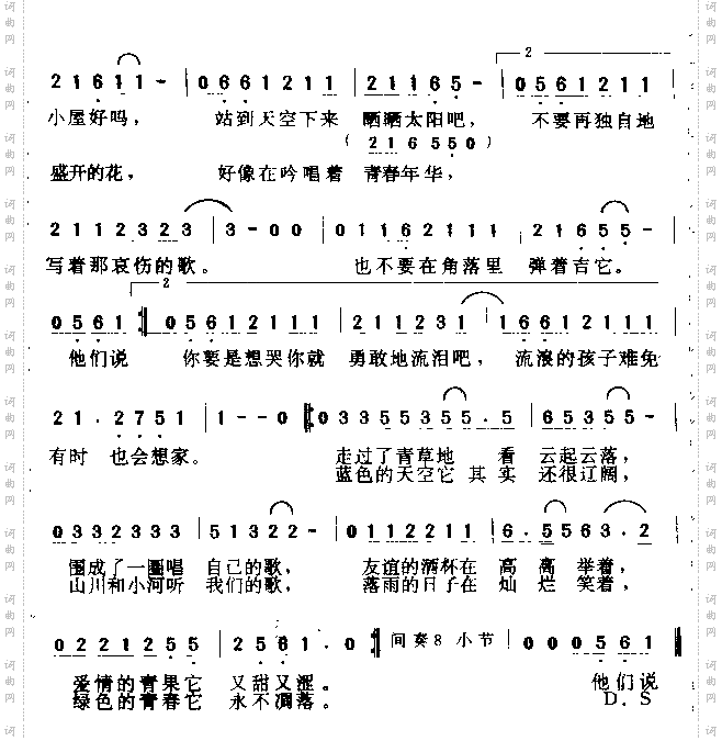 年轻的颜色