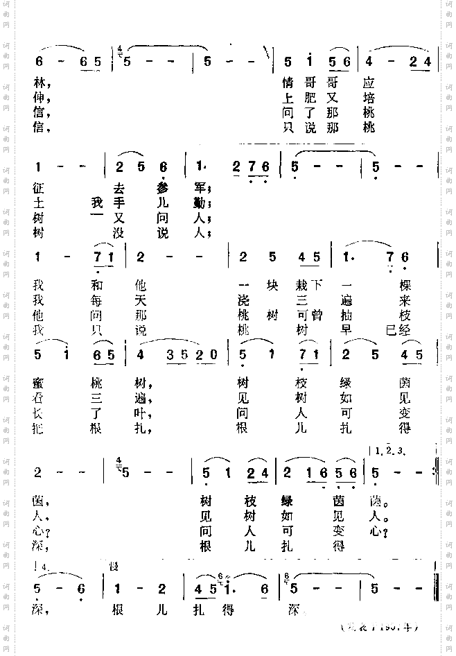 根儿扎得深