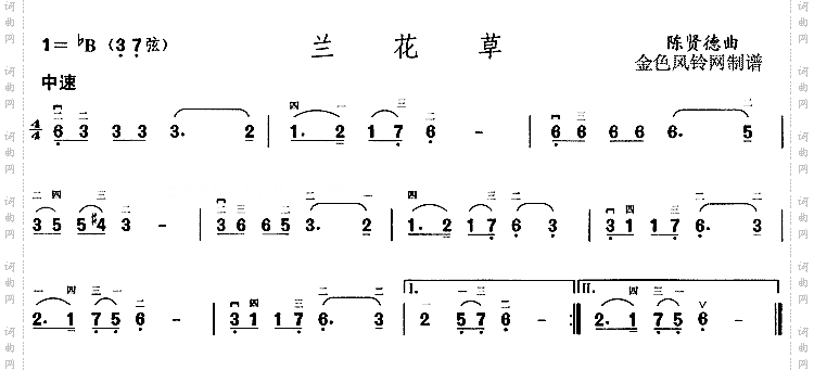 兰花草