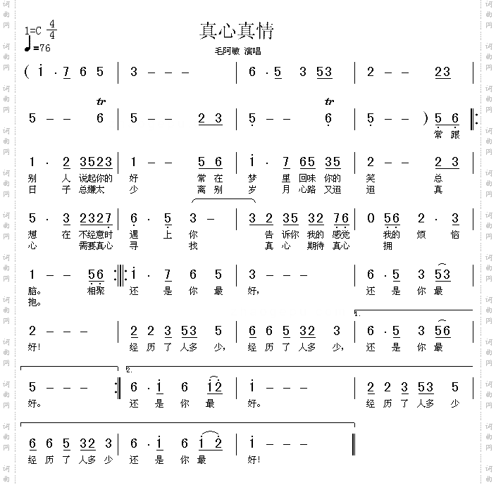 真心真情