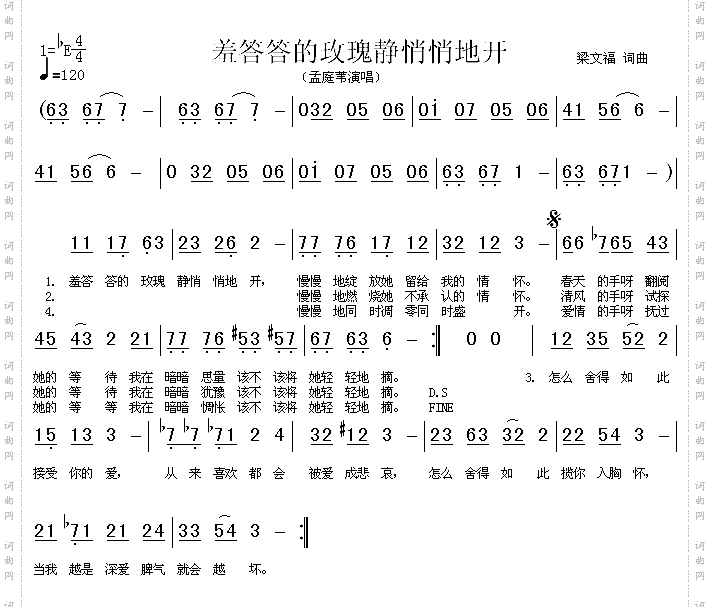 羞答答的玫瑰静悄悄地开