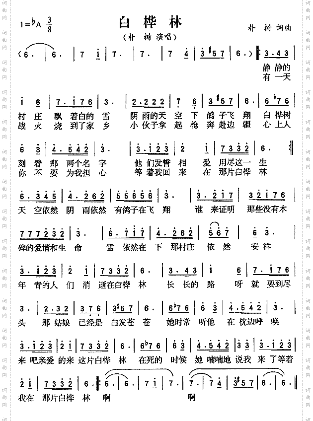 白桦林