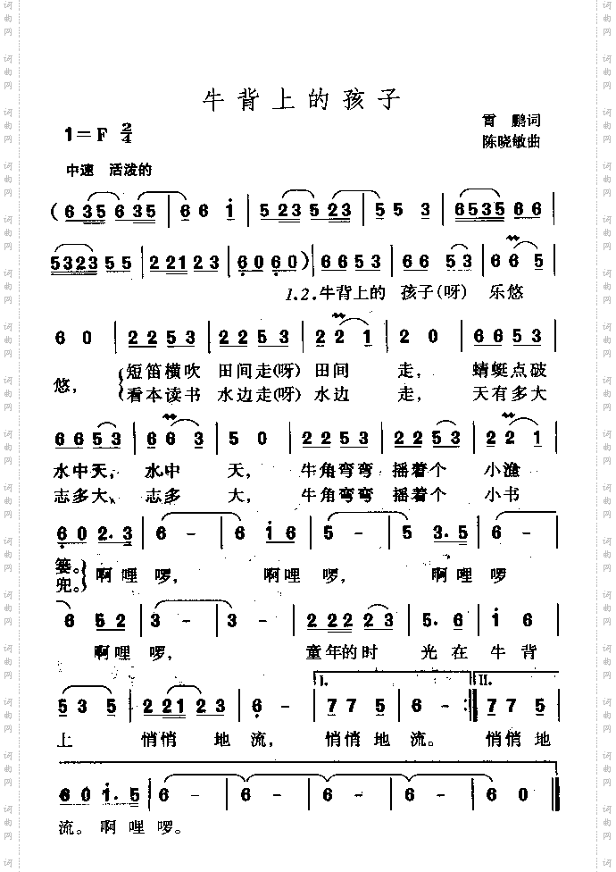 牛背上的孩子霄鹏词陈晓敏曲