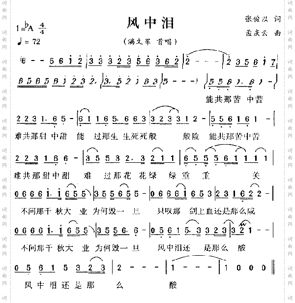 风中泪