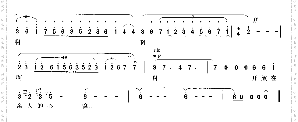 彩云与鲜花