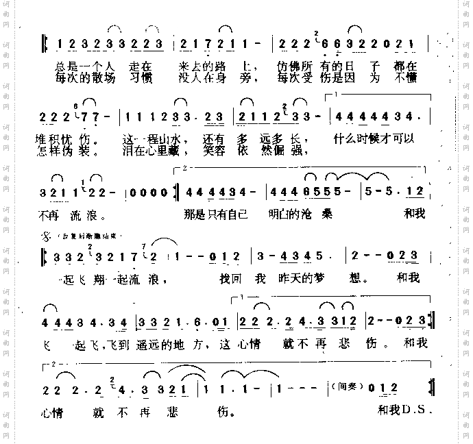 和我一起飞翔