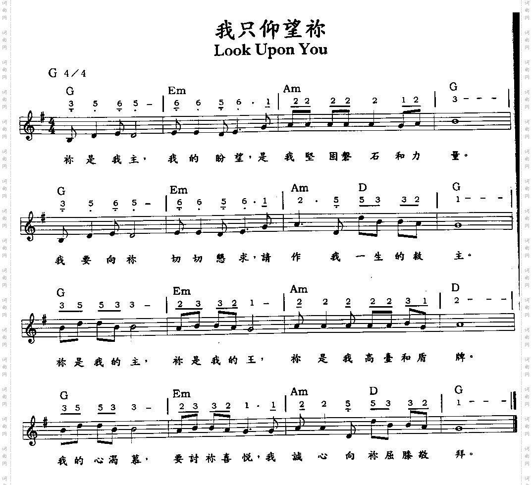 我只仰望你