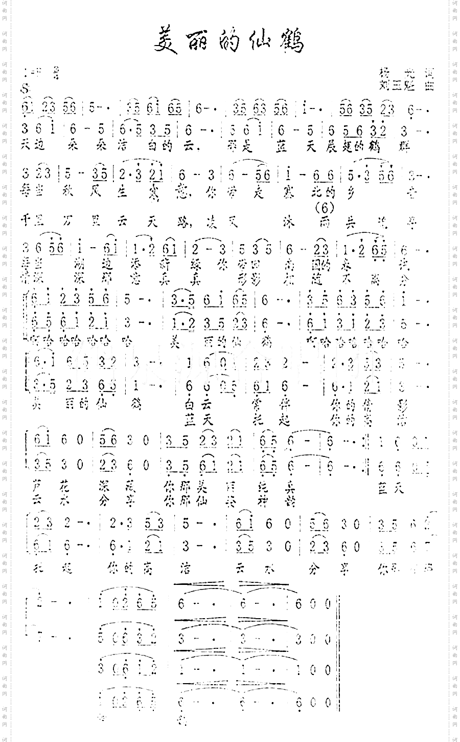 美丽的仙鹤