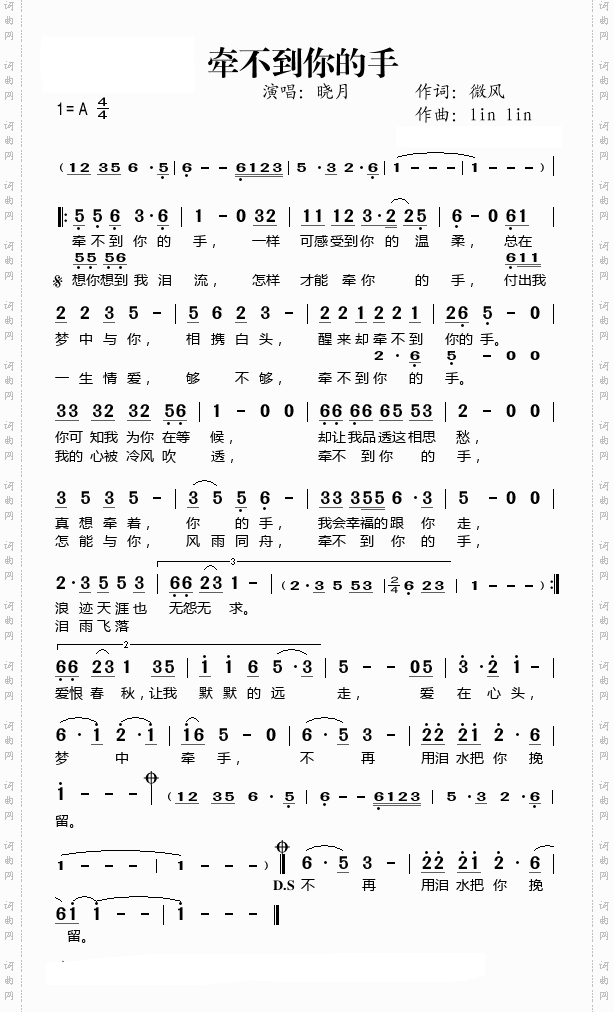牵不到你的手