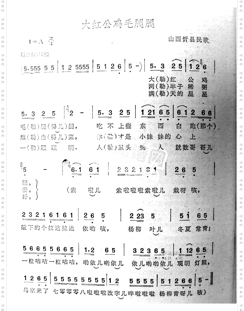 大红公鸡毛腿腿山西民歌