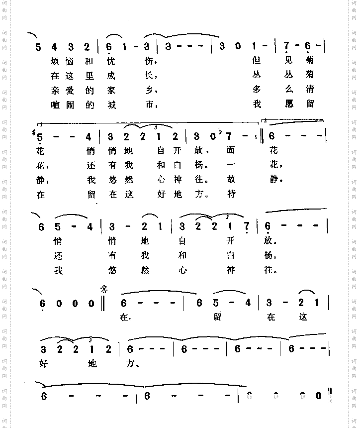 爱情与我无缘份