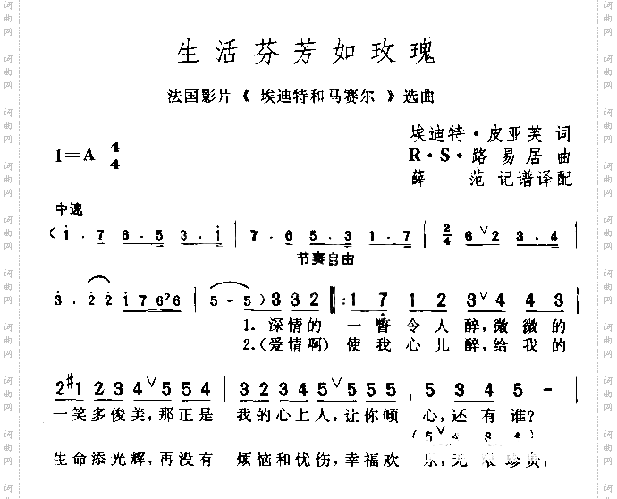 生活芬芳如玫瑰