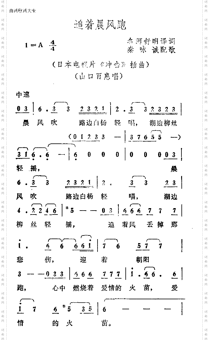 追着晨风跑