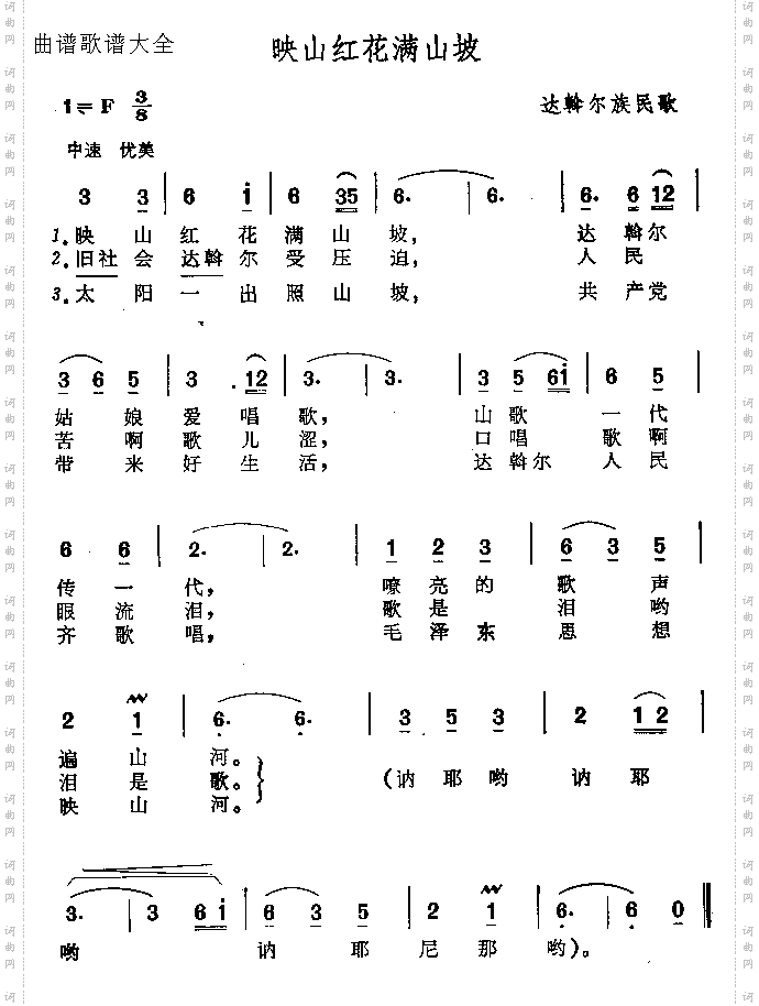 映山红花满山坡