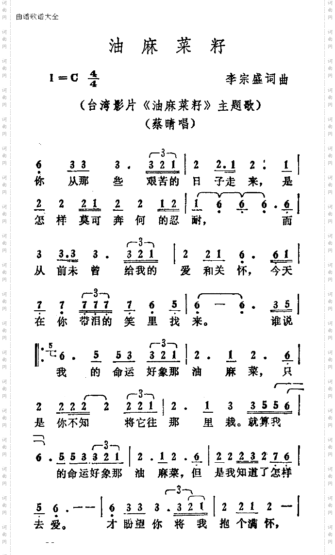 油麻菜籽