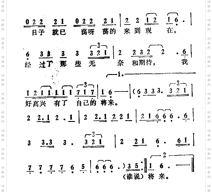 油麻菜籽