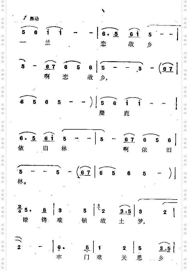 一兰永远不变心