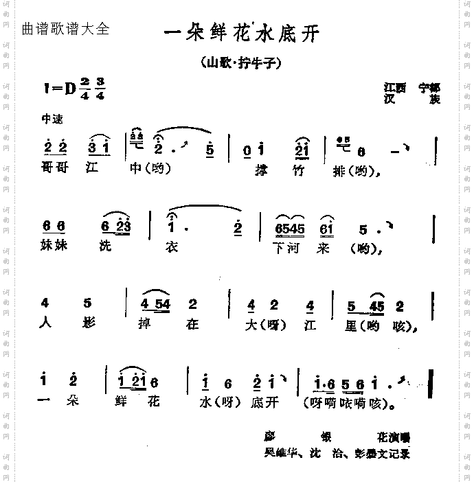 一朵鲜花水底开