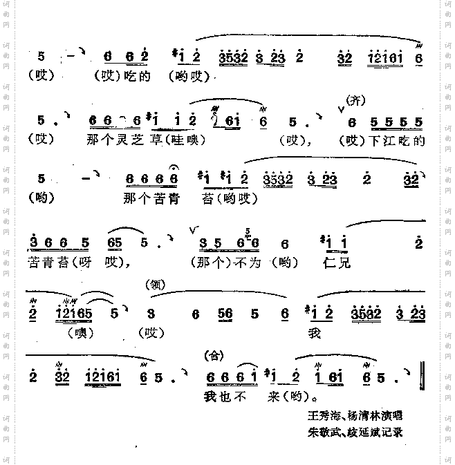小小鲤鱼红口腮