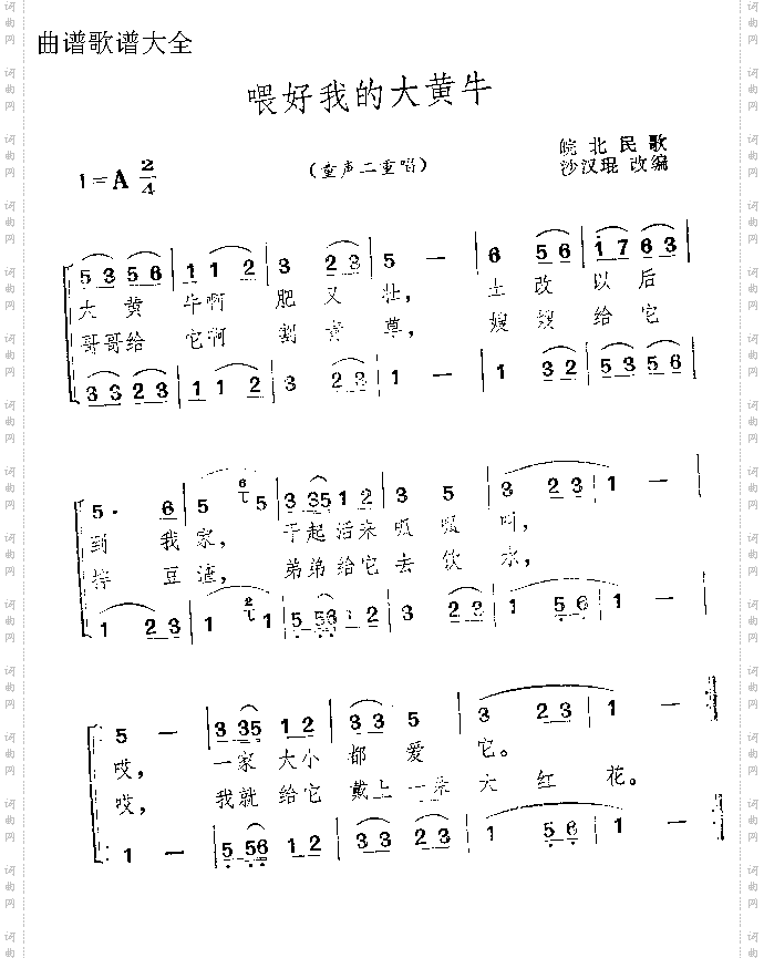喂好我的大黄牛