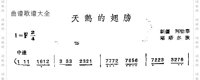 天鹅的翅膀