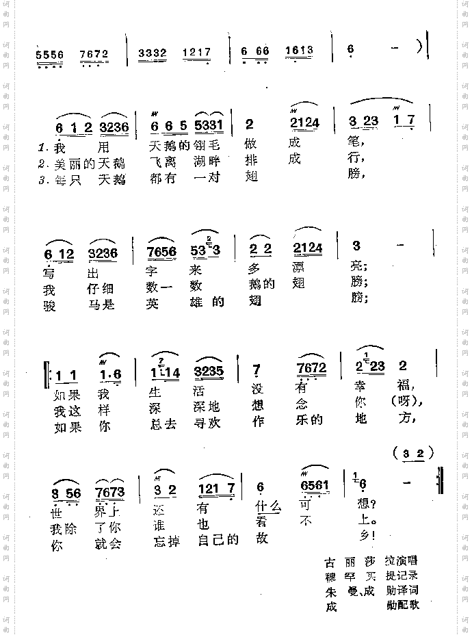天鹅的翅膀