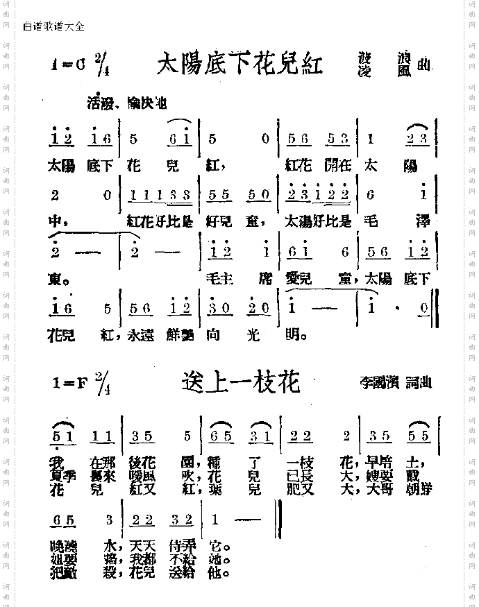太阳底下花儿红