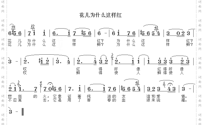 花儿为什么这样红