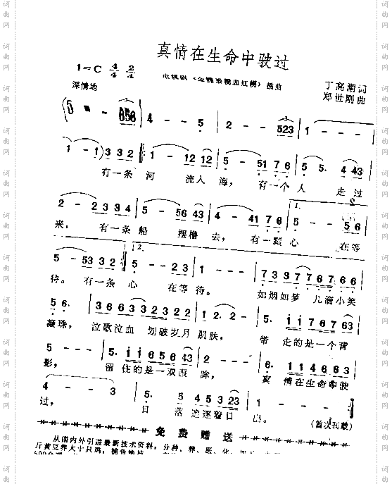 真情在生命中驶过插曲