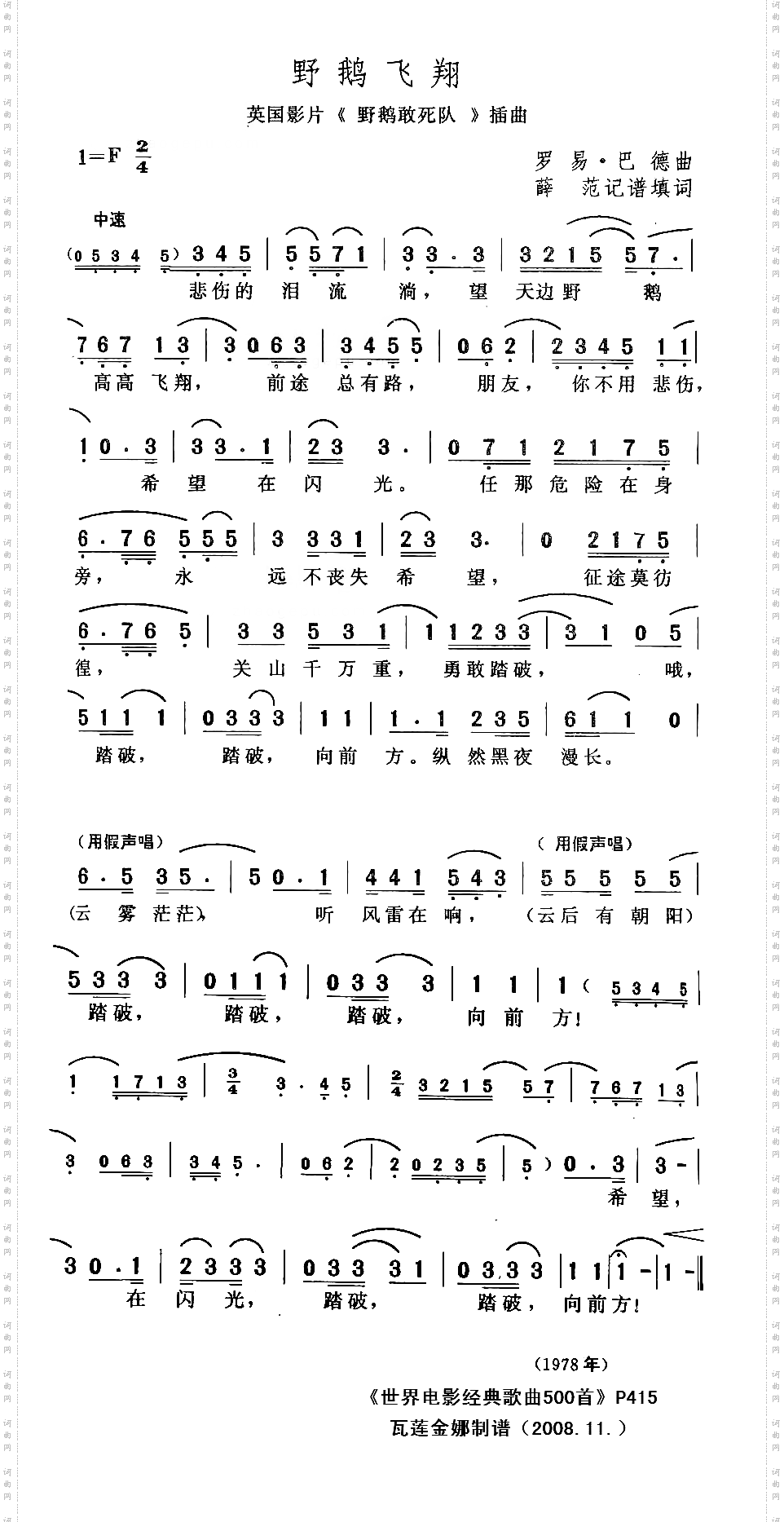 野鹅飞翔