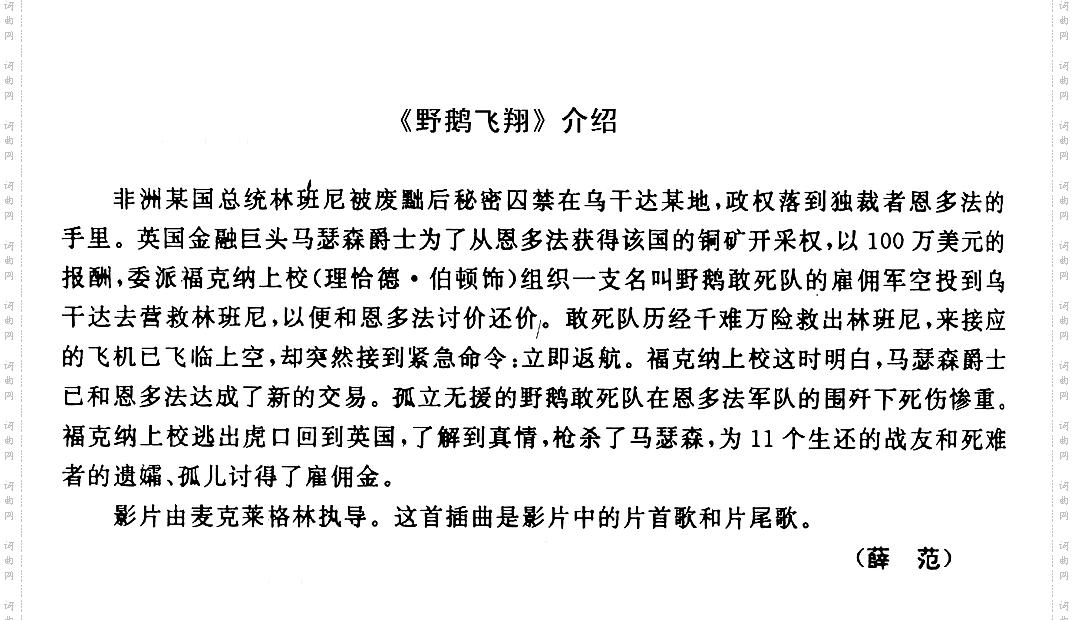 野鹅飞翔